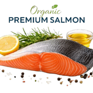 Premium quality Organic Norwegian Salmon Fillet Dubai